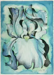 Iris Ii by Lowell Nesbitt, Colored pencil and watercolor on paper, sold Sep 2003
