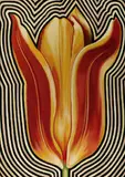 Lowell Blair Nesbitt, Electric Tulip Ii