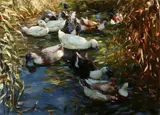 Alexander Koester, Ducks Along Riverbank