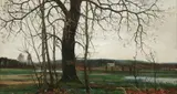 Wilhelm Hans Braun, View Through Trees, Oil on board