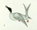 Kananginak Pootoogook, Untitled