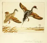 Benson Bond Moore, Five-Colored Bird Etchings: Startled Pintails