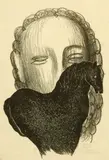 Carlos Mérida, Head and Horse, Lithograph on paper