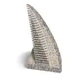 Jesús Moroles, Vanishing Edge Round