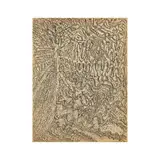 Henri Michaux, Sans titre (dessin mescalinien)