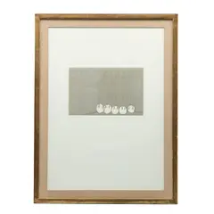 Francisco Toledo, Untitled, Grabado al aguafuerte y aguatinta 11 / 50