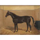 Albert Clark, RETRATO DE CABALLO, Óleo sobre tela