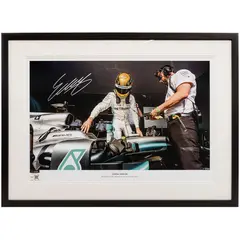 Esteban Gutiérrez, MERCEDES-AMG PETRONAS FORMULA ONE TEAM, Fotografía en color 21/21