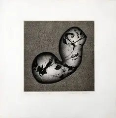 Torso II by Mary Farl Powers, Etching. Edition 1 of 15., sold Jun 2026