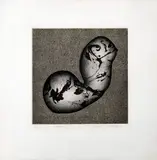 Mary Farl Powers, Torso II, Etching. Edition 1 of 15.