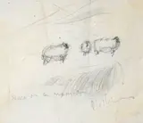 Patrick Collins, Sheep on the Mountain, Pencil on paper