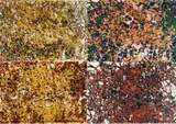 Paul Mosse, The Four Seasons, Lithograph