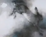 Cara Gordan, Hare, Oil on Canvas