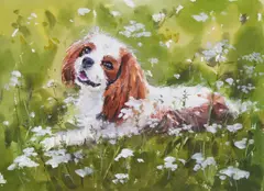 Kenny Hayes, Cavalier Spaniel, Watercolour