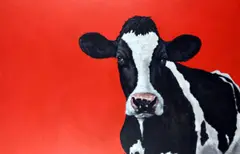 Paul Bell, Cow on Red, Oil on Canvas