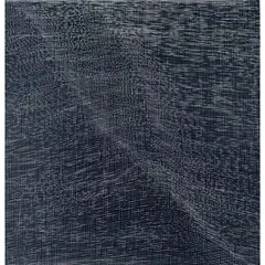 Senye Shen, Endless Flow IV, 2012, etching, ed. 2/30