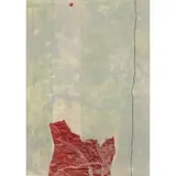 Jo Lankester, Cortex - Balding Bay Walking Track, 2018, intaglio and relief print, ed. 2/35