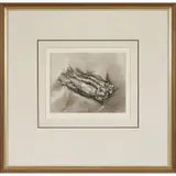Dick Stolwijk, Bundle of Sardines, etching, ed. 12/50