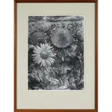George Tute Rwa, Sunflower Field, 1983, woodcut, ed. 37/75