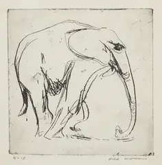 Fred Williams, Young Elephant, 1955-1956, etching, ed. 8/15