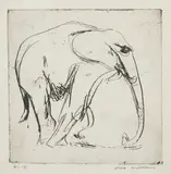 Fred Williams, Young Elephant, 1955-1956, etching, ed. 8/15