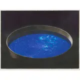 Tim Storrier, Bowl of Stars