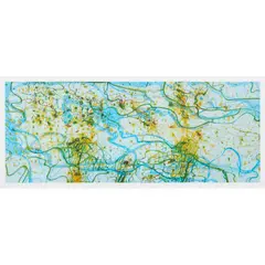 John Olsen, Tropical Lily Pond, 2007, archival pigment print, ed. 3/250