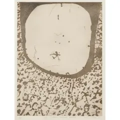 John Olsen, Life Drawn towards the Void, 1975, etching, ed. A/P