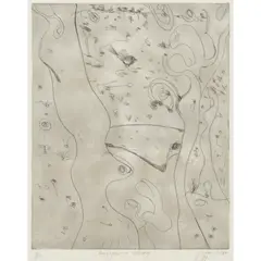 John Olsen, Angophora Valley, 1975, etching, ed. 9/10