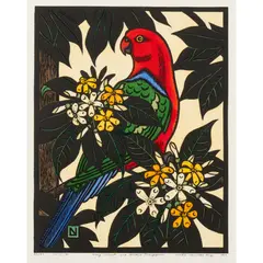 Leslie van der Sluys, King Parrot and Native Frangipani, 1988, hand-coloured linocut, ed. 27/90