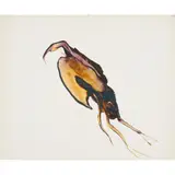 Sidney Nolan, (Bird in Flight), c.1969, mixed media on paper