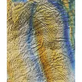 Sidney Nolan, (Heads of Mules at Gallipoli), 1958, mixed media and crayon rubbing on paper