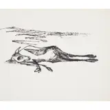 Sidney Nolan, Drought, 1955, ink on paper