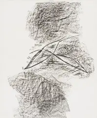 Fish by Sidney Nolan, c.1958, crayon on paper, sold Feb 2026