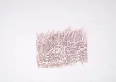 Carcass by Sidney Nolan, c.1968, crayon rubbing on paper, sold Feb 2026