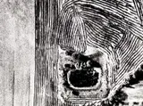 Mario Giacomelli, Presa di coscienza sulla natura’ (On being aware of nature)