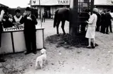 Tony Ray-Jones, At the aquarium, c .1970