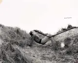 Valie Export, Nachfügung’ (from the series ‘Körperkonfigurationen‘), 1974, photograph