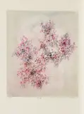 Rolf Cavael, Ohne Titel, 1976, Farblithografie auf Velin