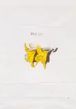 Thomas Schütte, Silly Lilies, 1995, Sieben Farblithografien auf China