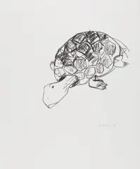 Schildkröte by Stephan Balkenhol, 1994, Lithografie auf Zerkall Bütten, sold Apr 2017