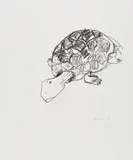 Stephan Balkenhol, Schildkröte, 1994, Lithografie auf Zerkall Bütten