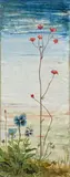 Franz Radziwill, Stiefmütterchen / Saxifraga und Viola tricolor, 1930, Öl auf Holz