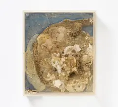 Ohne Titel by Dieter Roth, Accumulage (Mischtechnik auf blau bemalter Spanplatte unter Plexiglashaube)., sold Jun 2017