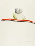 Rock Nevada by David Hockney, 1968, Farblithografie auf BFK RIVES (Wasserzeichen), sold Jun 2017