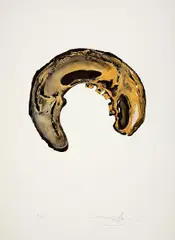 Anamorphoses by Salvador Dalí, 1972, Fünf Farblithografien auf BFK RIVES (Wasserzeichen), sold Jun 2017