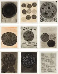 Album by Terry Winters, 1988, The complete set of nine etchings with aquatint (two in colors), on Hahnemühle paper, with full margins,, offered Oct 2013