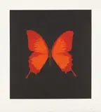 Plate 3, from The Souls on Jacobs Ladder Take Their Flight by Damien Hirst, 2007, Photogravure in colors, on Velin Arches paper, with full margins,, sold Oct 2013