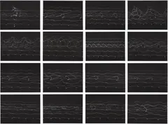 Pedestrian Vibes Study by Ólafur Elíasson, 2005, The complete set of 16 photogravures, on Somerset Satin paper, with full margins,, offered Oct 2013