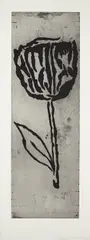 Scroll by Donald Baechler, 2007, Etching, on wove paper, with full margins,, sold Oct 2013